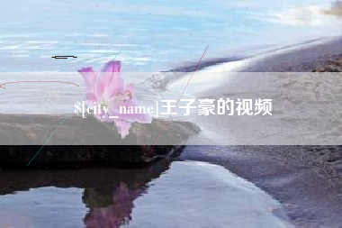 山东王子豪的视频