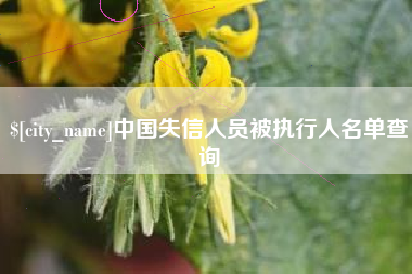 山东中国失信人员被执行人名单查询