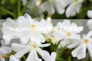 山东中国金牌得了几枚金牌