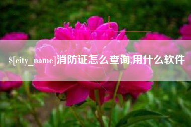 山东消防证怎么查询,用什么软件