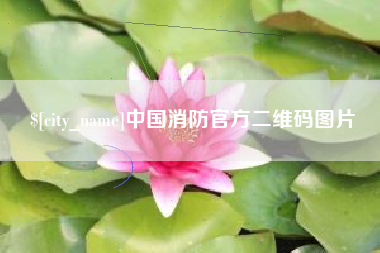 山东中国消防官方二维码图片
