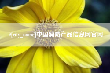 山东中国消防产品信息网官网