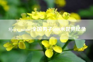 山东全国男子5000米世界纪录