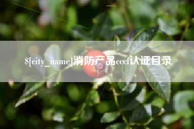山东消防产品cccf认证目录