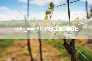 山东11月9日全国消防日