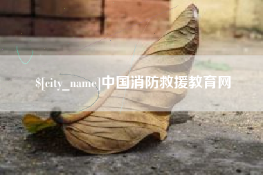 山东中国消防救援教育网