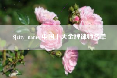 山东中国十大金牌律师名单