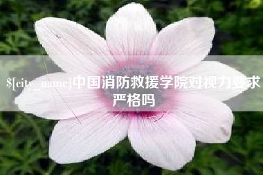 山东中国消防救援学院对视力要求严格吗