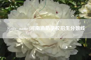 山东河南消防学校招生分数线