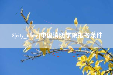 山东中国消防学院报考条件