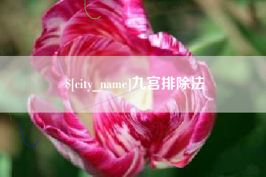 山东九宫排除法