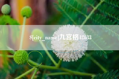 山东九宫格42633