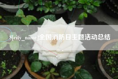 山东全国消防日主题活动总结