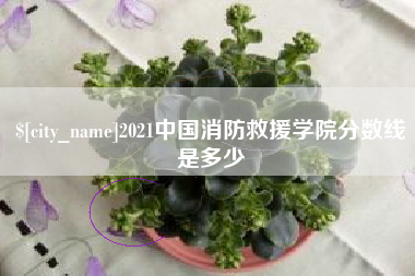 山东2021中国消防救援学院分数线是多少