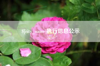 山东执行信息公示