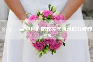 山东中国消防救援学院录取分数线2020