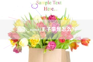 山东王子豪是怎么写