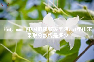 山东中国消防救援学院2021年山东录取分数线是多少