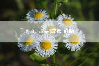 山东成都 消防