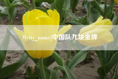 山东中国队九块金牌
