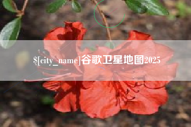山东谷歌卫星地图2025