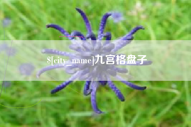 山东九宫格盘子