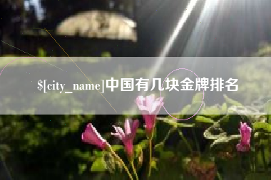 山东中国有几块金牌排名