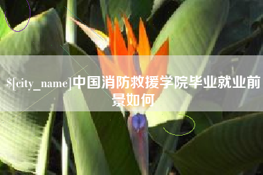 山东中国消防救援学院毕业就业前景如何