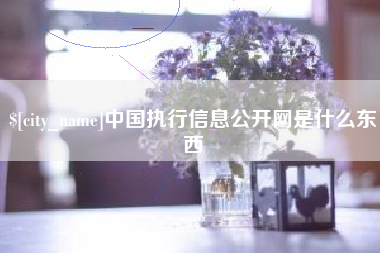 山东中国执行信息公开网是什么东西
