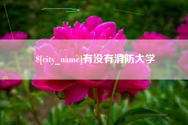 山东有没有消防大学