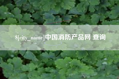 山东中国消防产品网 查询