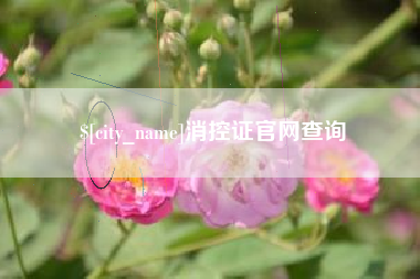 山东消控证官网查询