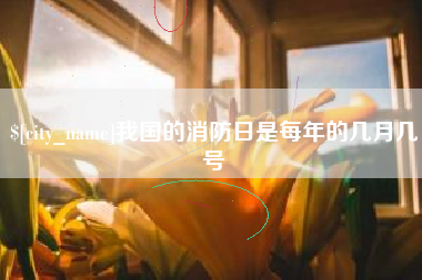 山东我国的消防日是每年的几月几号