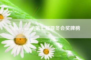 山东第七届亚冬会奖牌榜