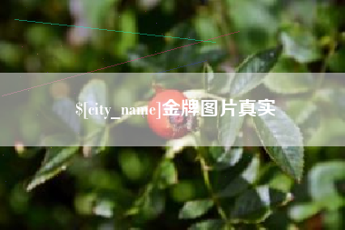 山东金牌图片真实