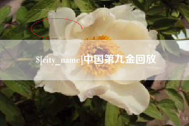 山东中国第九金回放