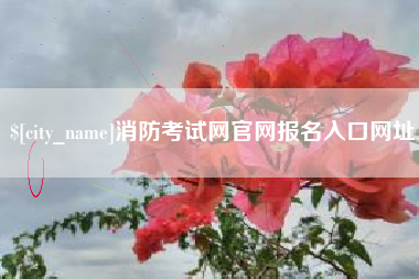 山东消防考试网官网报名入口网址