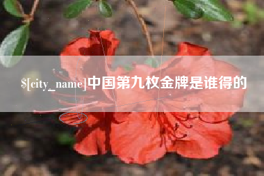 山东中国第九枚金牌是谁得的