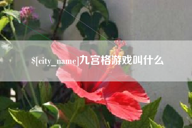 山东九宫格游戏叫什么