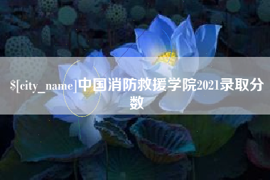 山东中国消防救援学院2021录取分数