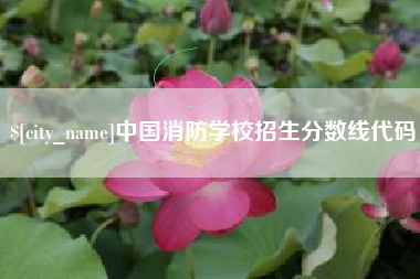 山东中国消防学校招生分数线代码