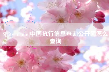 山东中国执行信息查询公开网怎么查询