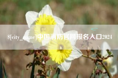 山东中国消防官网报名入口2024