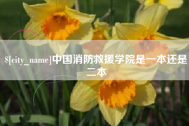 山东中国消防救援学院是一本还是二本