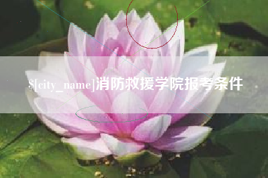 山东消防救援学院报考条件