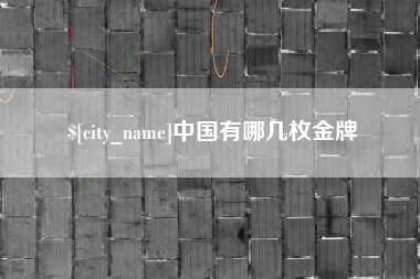 山东中国有哪几枚金牌