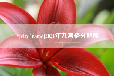 山东2021年九宫格分解图