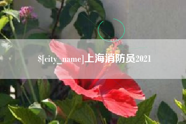 山东上海消防员2021