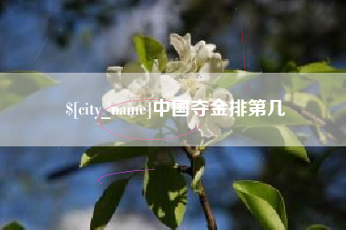 山东中国夺金排第几