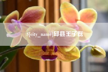 山东邱县王子磊